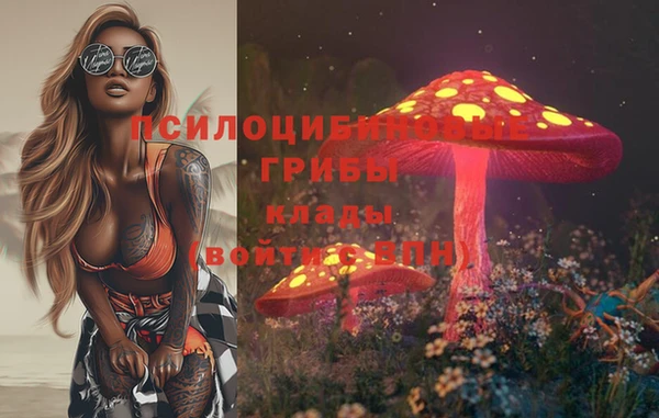 стаф Верхний Тагил