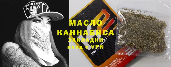 индика Верея
