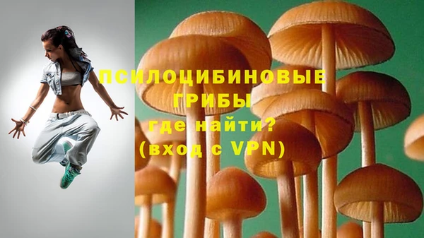 скорость mdpv Бородино