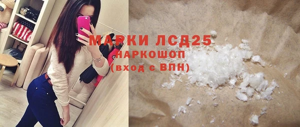 индика Верея